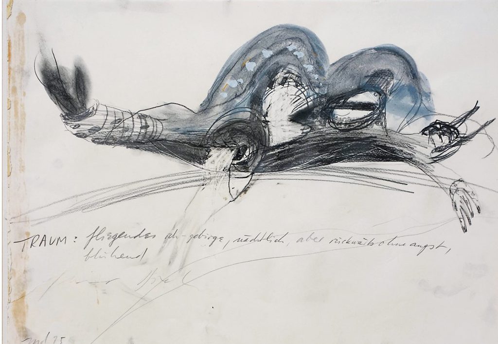 AVV, l'association genevoise Art en Vieille-Ville. Martin Disler.