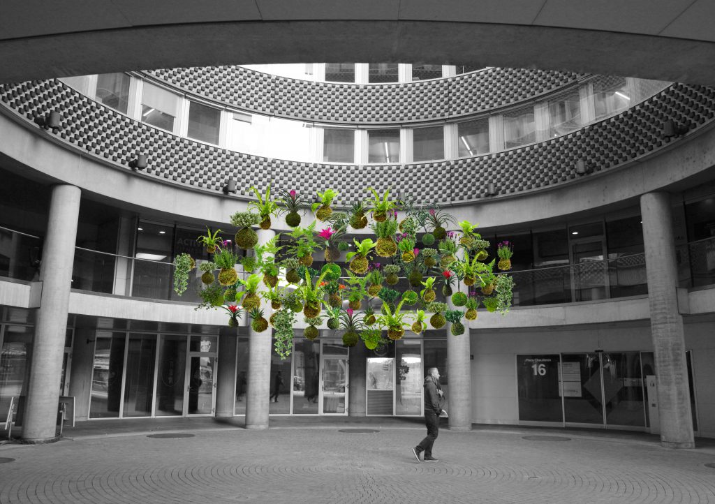 La Cour Galfetti. Lausanne Jardin 2018