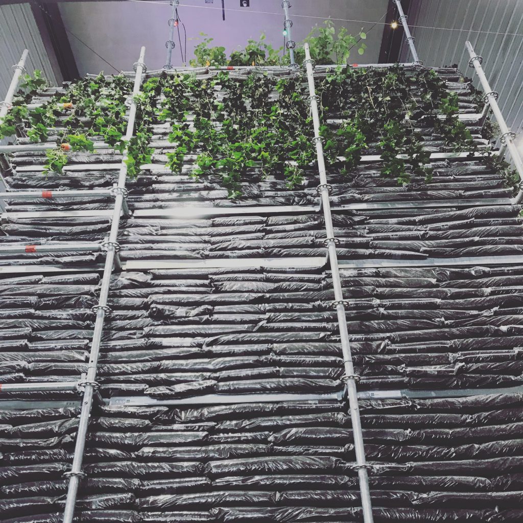 La Tour de Terre. Lausanne Jardin 2018 pour Habitat Jardin