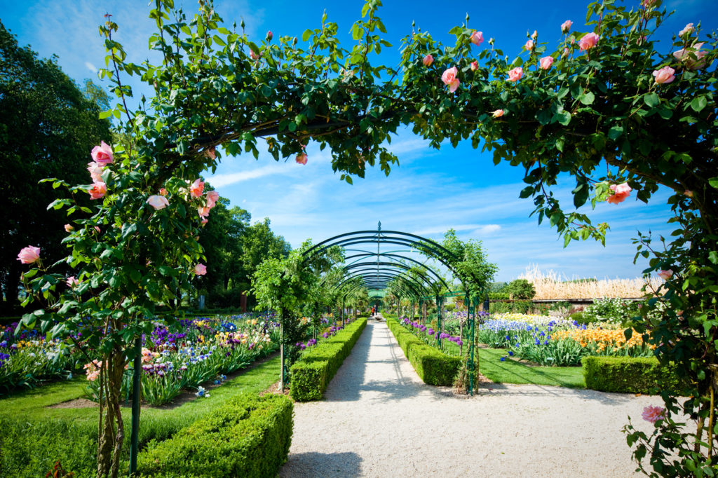 Jardins du Château du Vullierens, Floralis. Espaces contemporains.