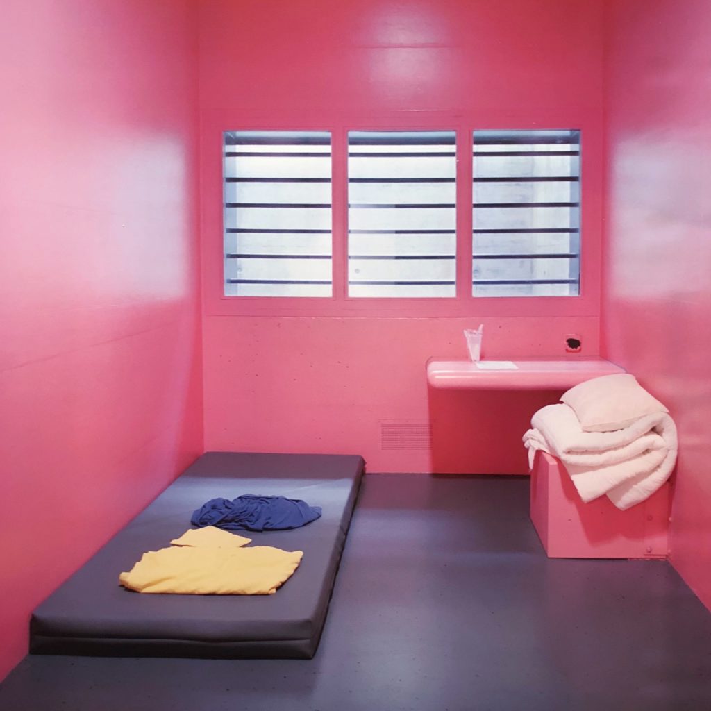 Pink Cells, Angélique Stehli. Festival Images Vevey.