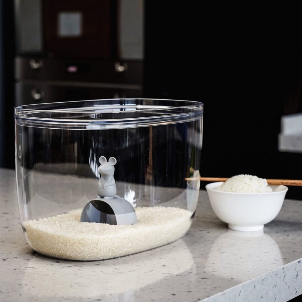 Cuisine, solutions design et écologiques. Boîte de rangement