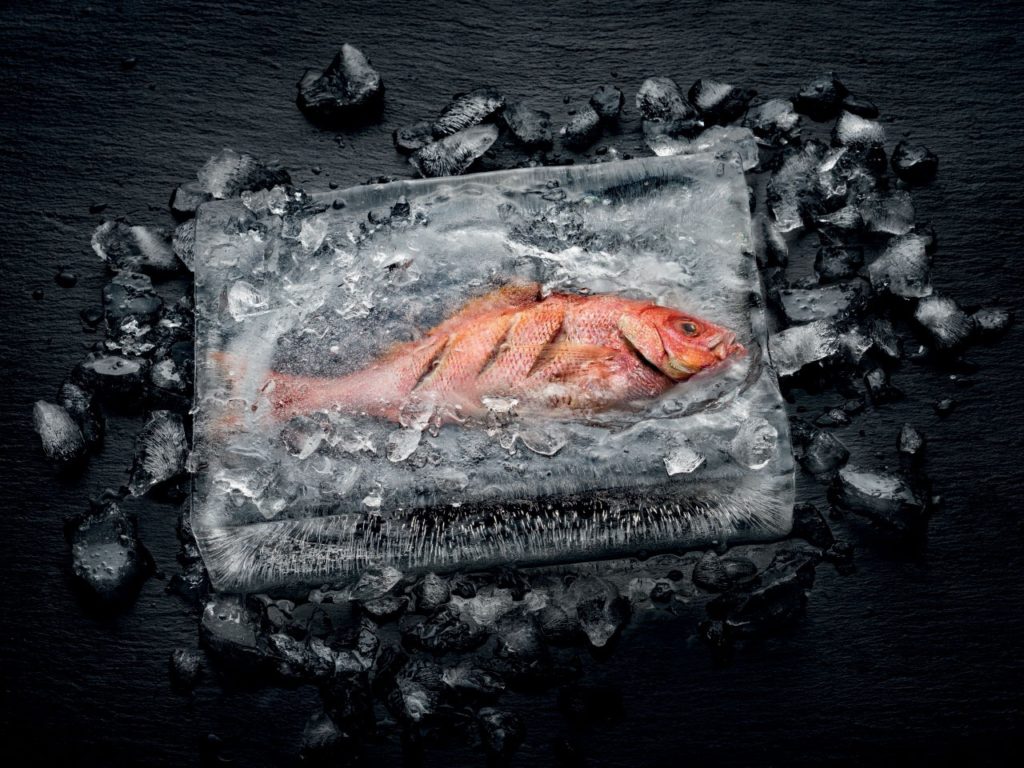 Innovation cuisine et électroménager