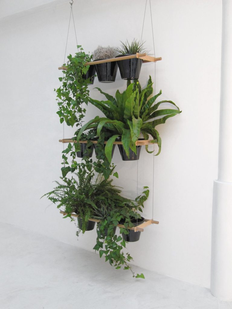 Potagers urbains et balcons végétalisés