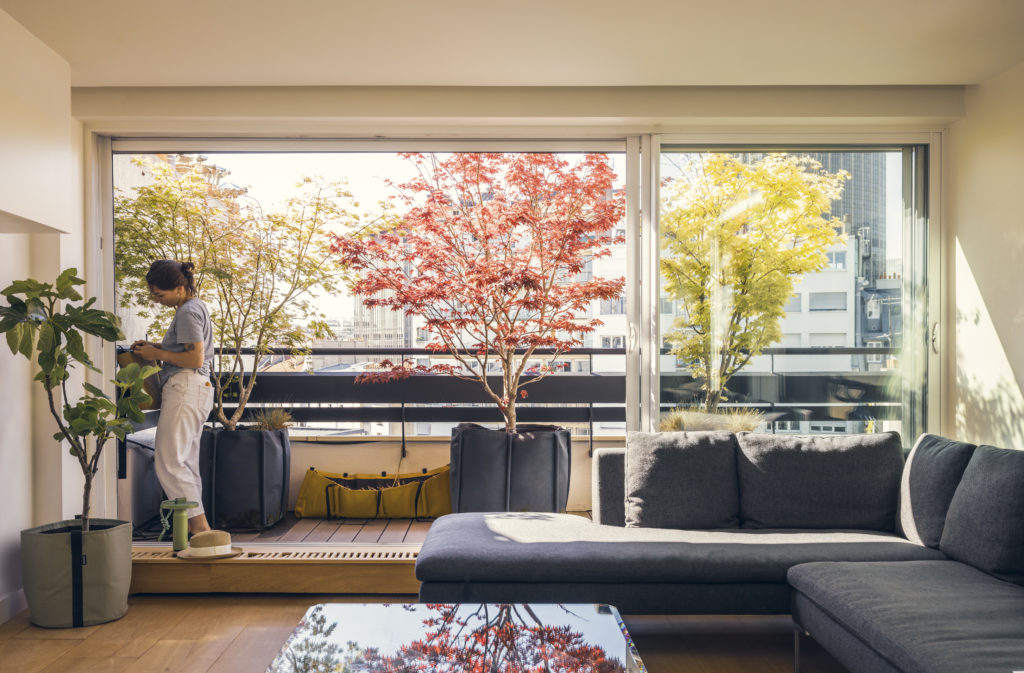 Potagers urbains et balcons végétalisés