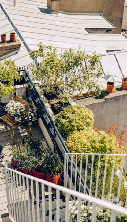 Potagers urbains et balcons végétalisés
