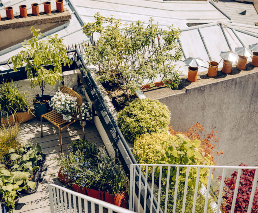 Potagers urbains et balcons végétalisés
