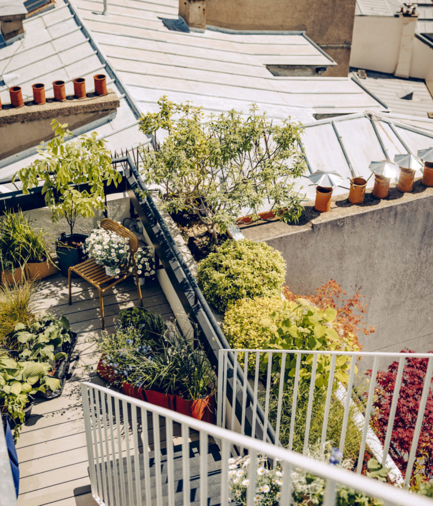Potagers urbains et balcons végétalisés