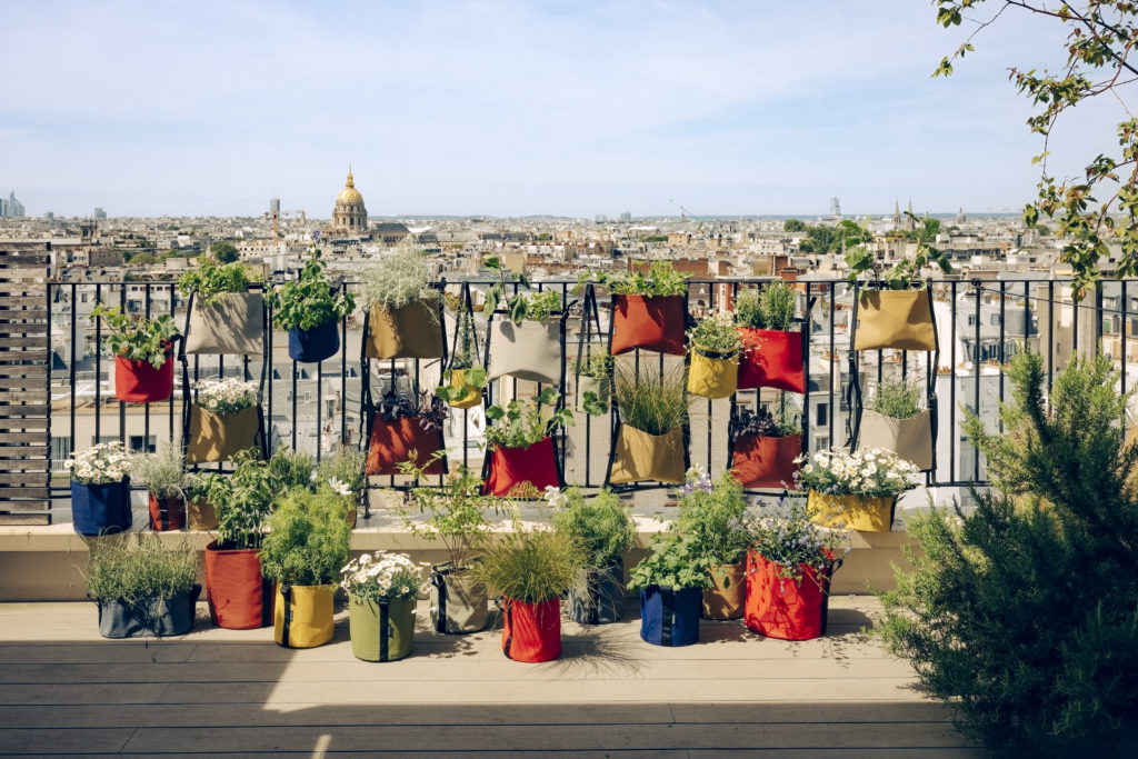 Potagers urbains et balcons végétalisés