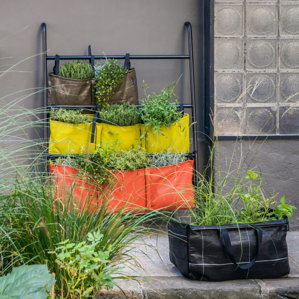 Potagers urbains et balcons végétalisés