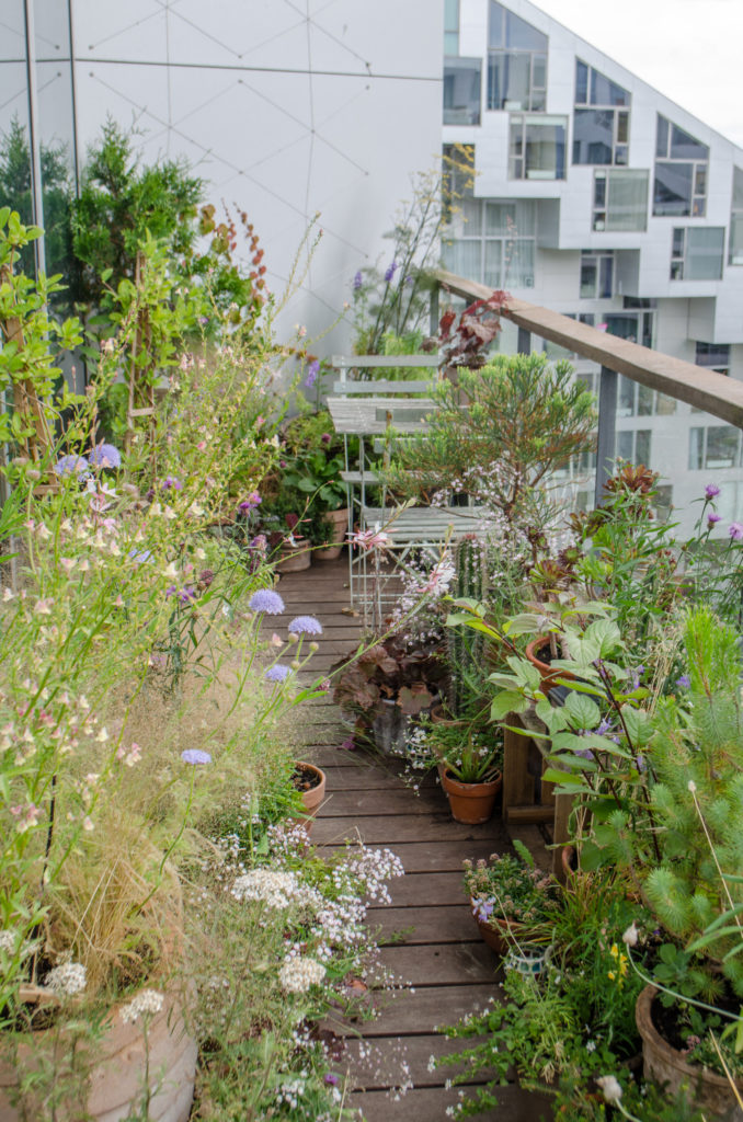 Potagers urbains et balcons végétalisés