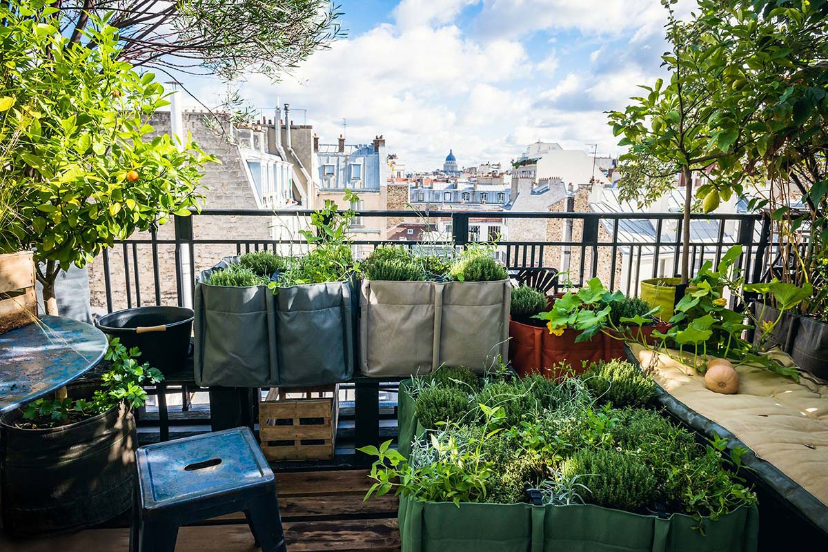 Poches racinaires, pots en géotextile, sacs à plantes, jardinières déco et design pour balcon