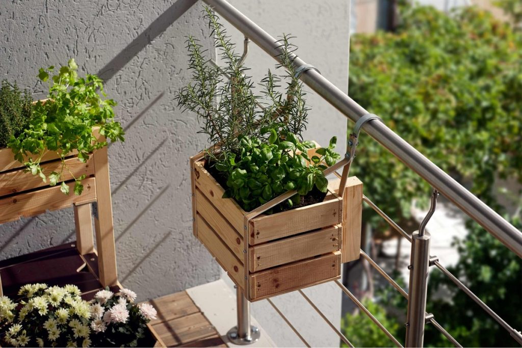 Potagers urbains et balcons végétalisés