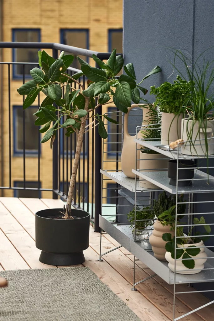 Potagers urbains et balcons végétalisés