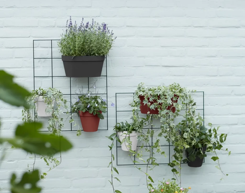 Potagers urbains et balcons végétalisés
