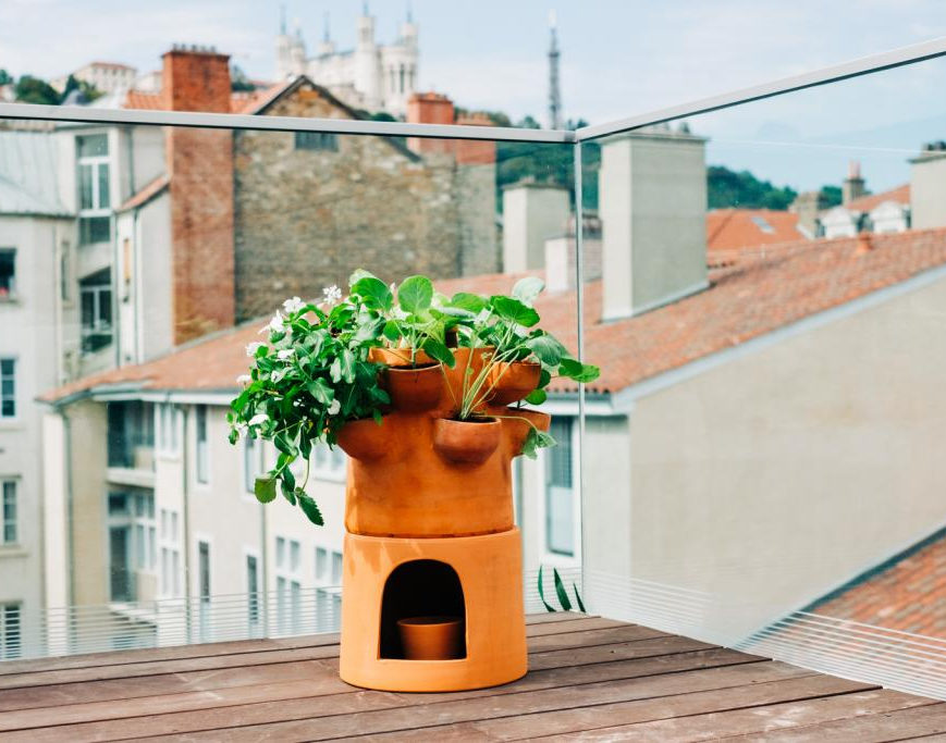 Potagers urbains et balcons végétalisés