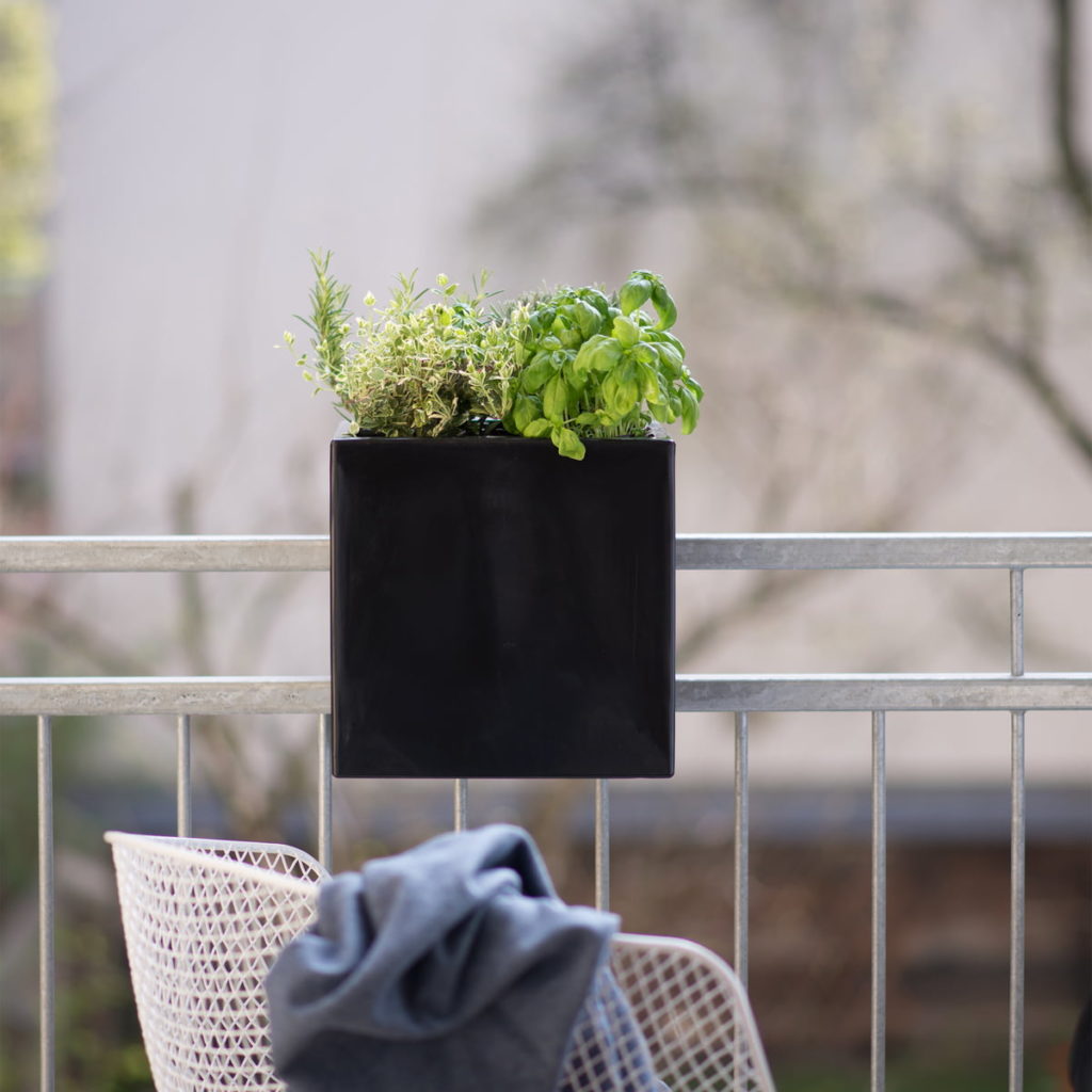 Potagers urbains et balcons végétalisés
