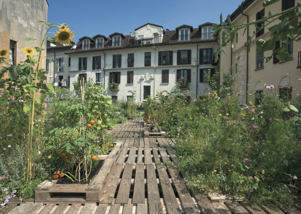 Jardin sur le toit d'un garage.